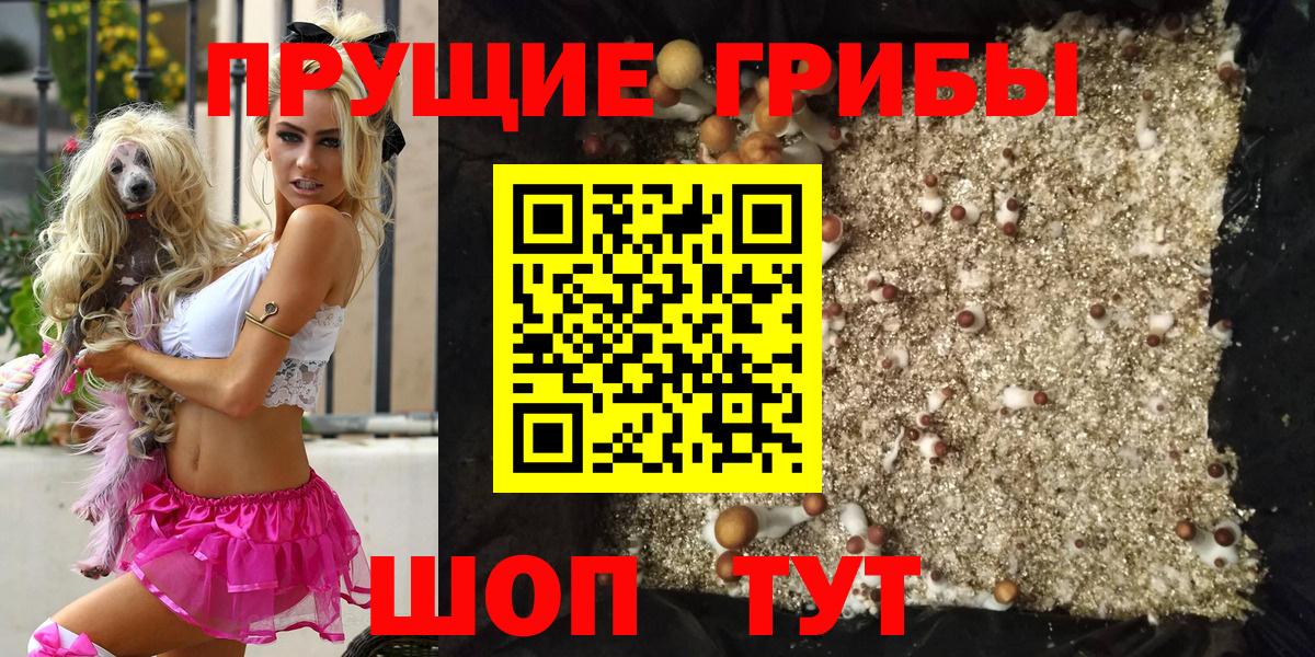Галлюциногенные грибы GOLDEN TEACHER Назрань