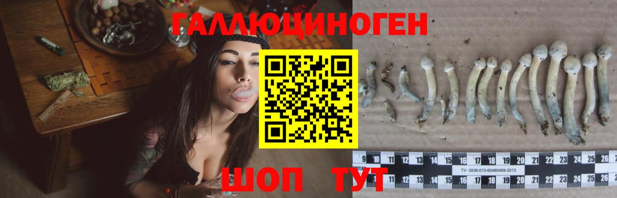 Галлюциногенные грибы MAGIC MUSHROOMS  Вход с VPN  Назрань 